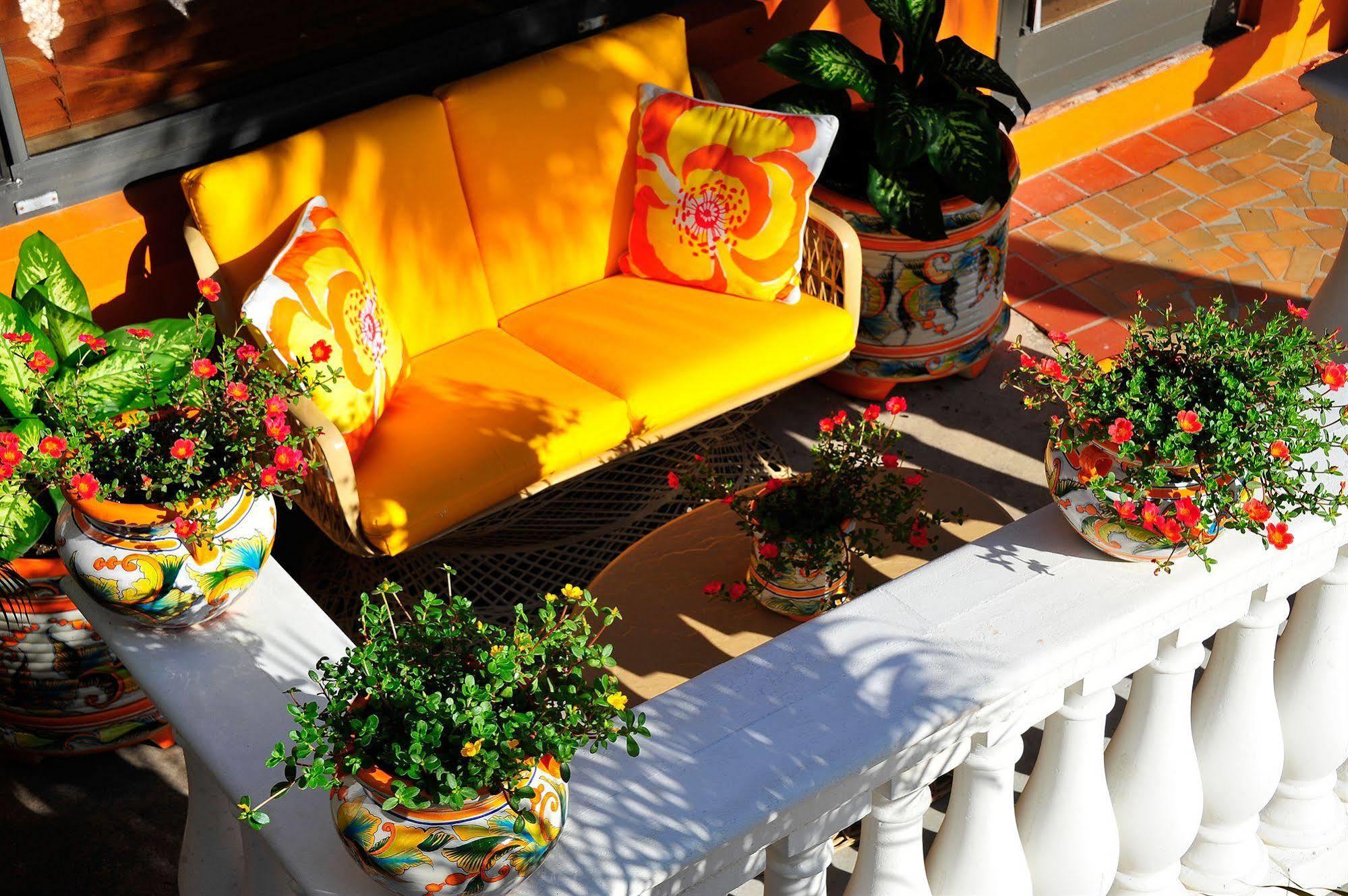 Blue Seas Courtyard Hotel Lauderdale-by-the-Sea Ngoại thất bức ảnh
